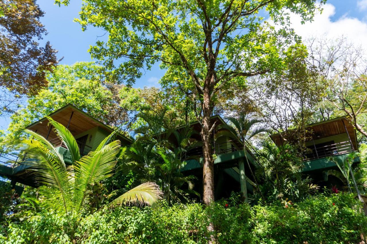 Arbol Verde Villas Охочал Екстериор снимка