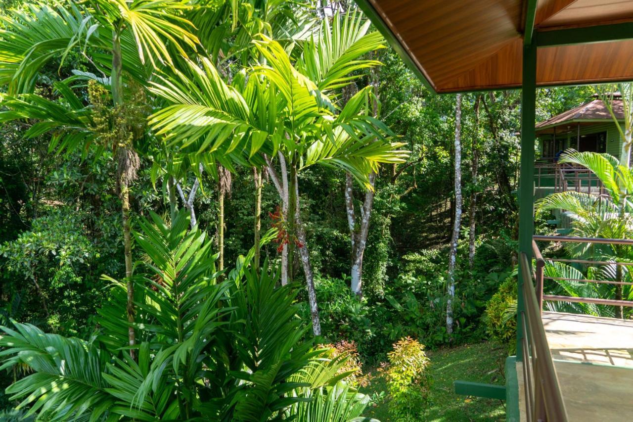 Arbol Verde Villas Охочал Екстериор снимка